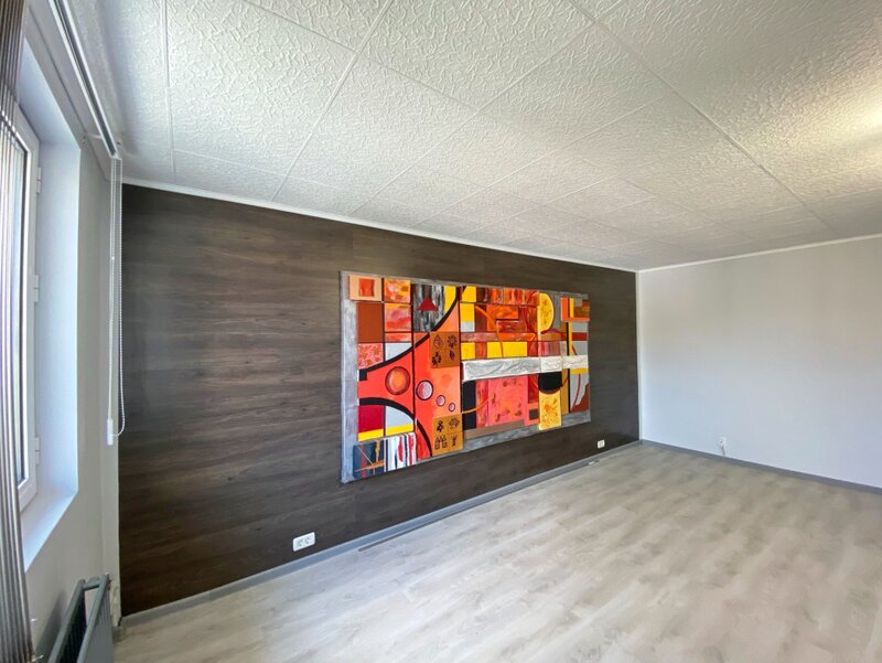 Pache Protopopescu   Vila 7 camere pt activitate comerciala | 10 min. de metrou